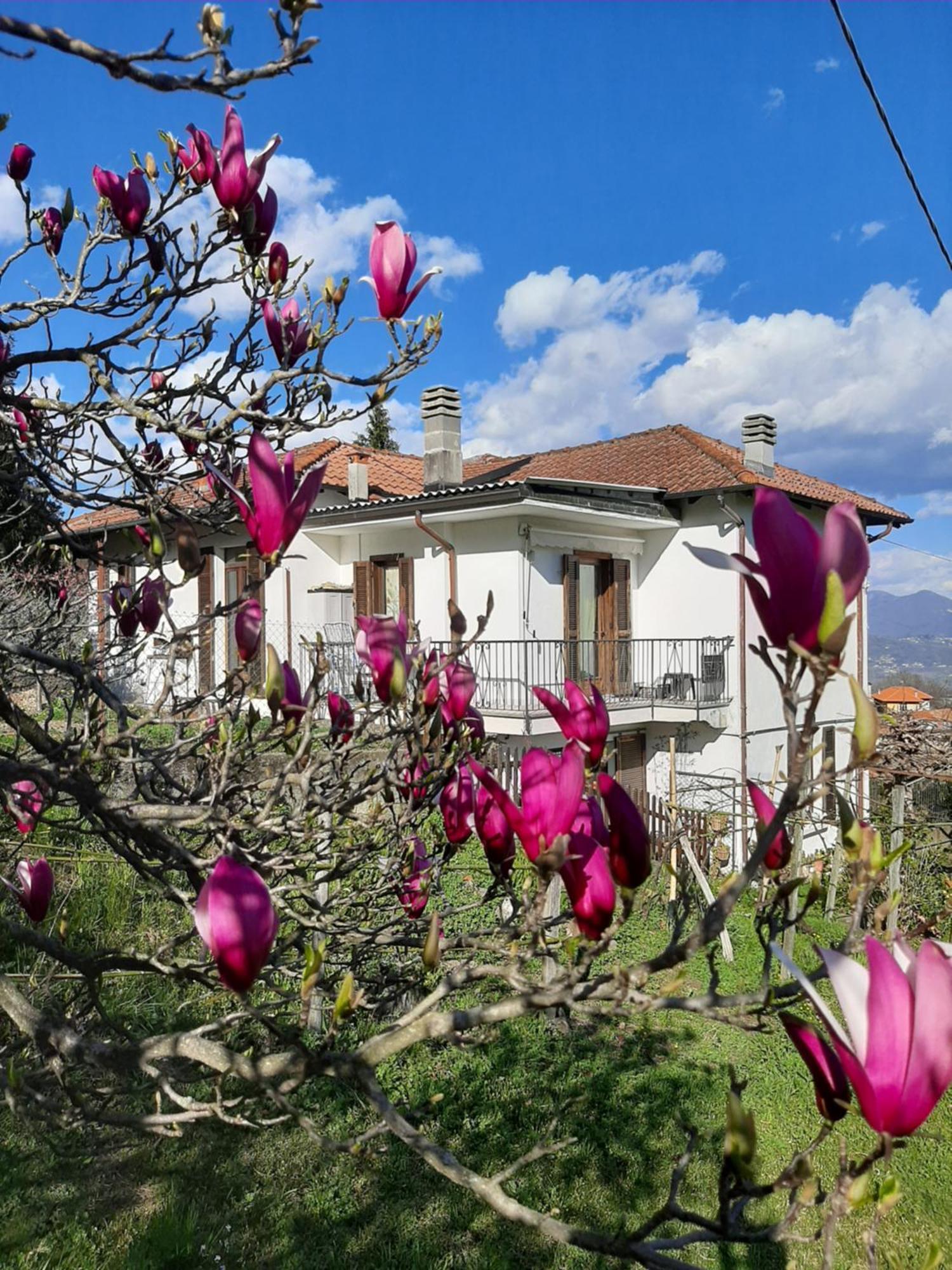 B&B Al Mutpron Casale Corte Cerro Exterior foto