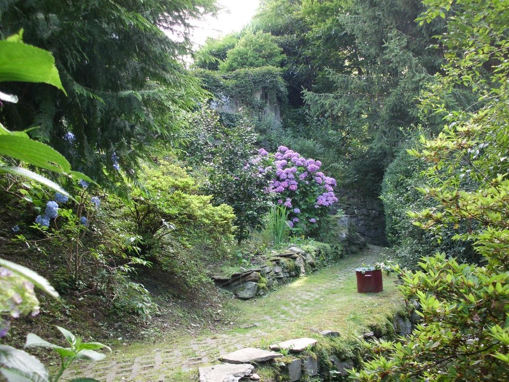 B&B Al Mutpron Casale Corte Cerro Exterior foto