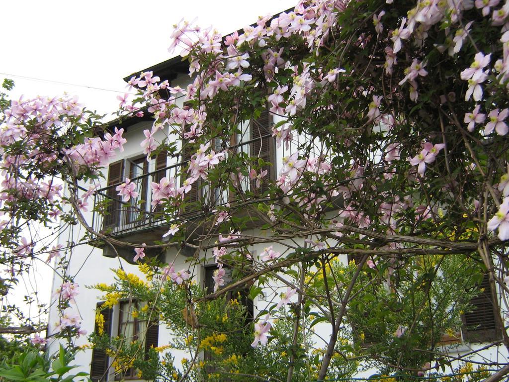 B&B Al Mutpron Casale Corte Cerro Exterior foto
